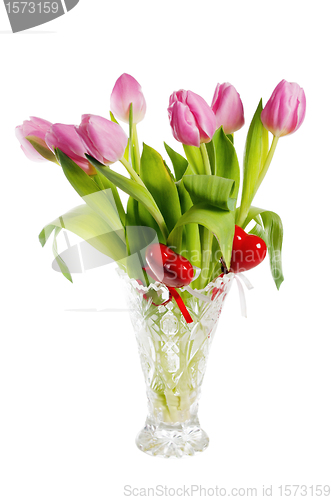 Image of Pink tulips, it is isolated on white