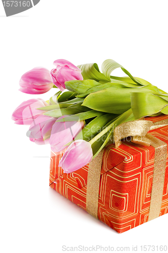 Image of Pink tulips and gift box, it is isolated on white