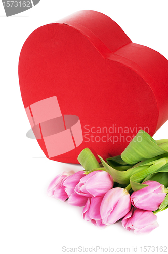 Image of Pink tulips and gift box, it is isolated on white