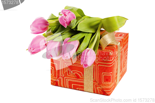 Image of Pink tulips and gift box, it is isolated on white