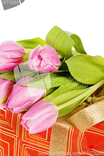 Image of Pink tulips and gift box, it is isolated on white
