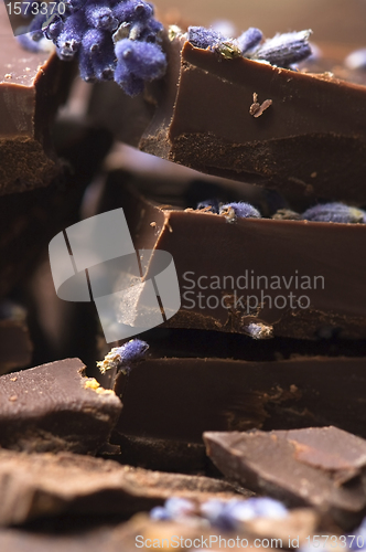 Image of Homemade chocolate with lavender flowers