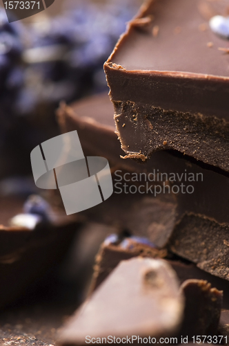 Image of Homemade chocolate with lavender flowers