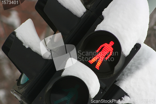 Image of Traffic light under snow