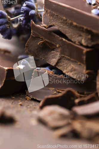 Image of Homemade chocolate with lavender flowers