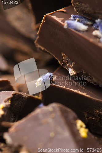 Image of Homemade chocolate with lavender flowers