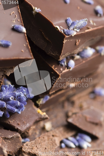 Image of Homemade chocolate with lavender flowers