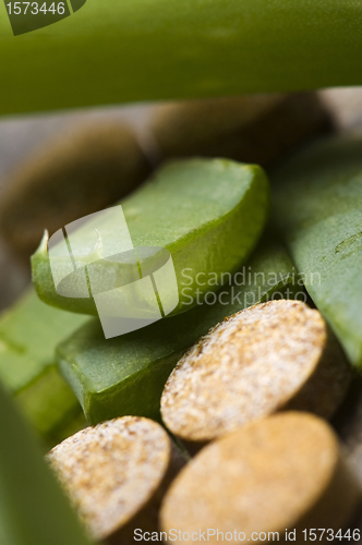 Image of aloe vera plant with pills - herbal medicine