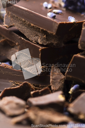 Image of Homemade chocolate with lavender flowers