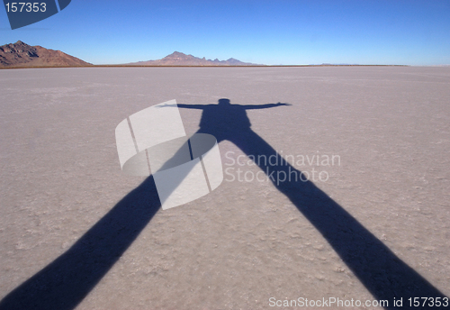 Image of Shadow