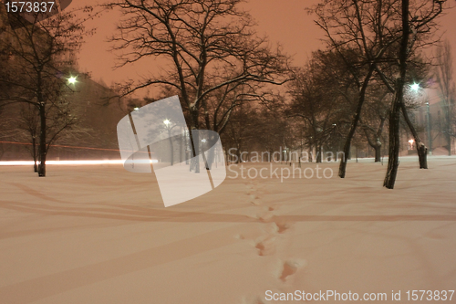 Image of avenue at winter night