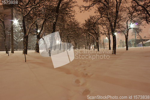 Image of winter night 