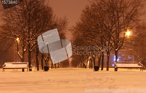 Image of avenue at winter night