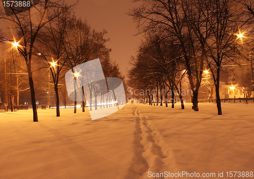 Image of winter night