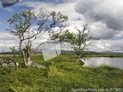 Image of Nature Landscape