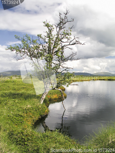 Image of Nature Landscape