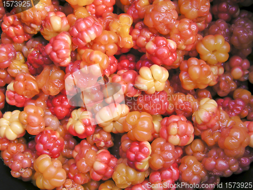 Image of Fresh cloudberry 
