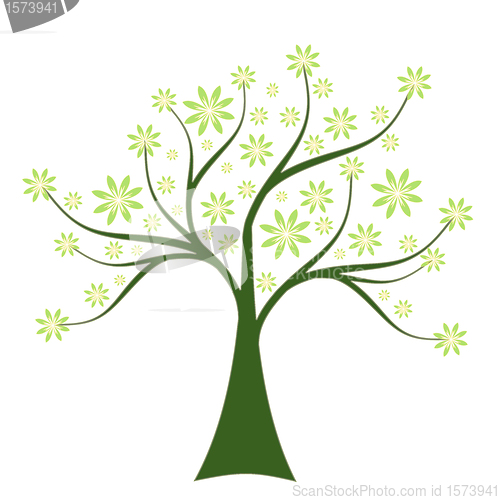Image of Spring Tree