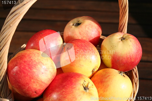 Image of Swedish summer apples