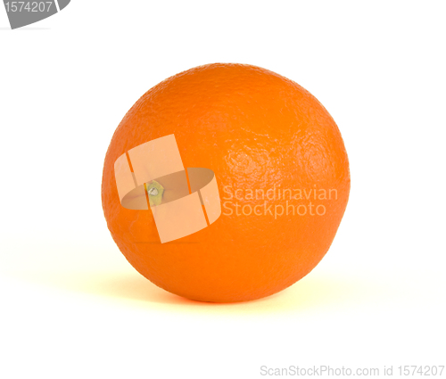 Image of Lonely orange