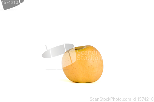 Image of Lonely apple