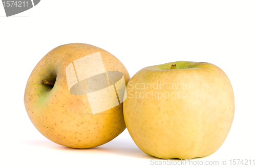 Image of Two apples