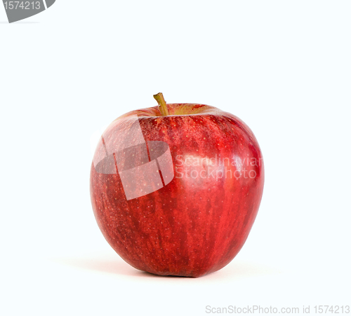 Image of Lonely apple