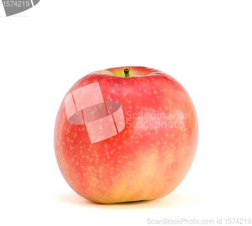 Image of Lonely apple Pink Lady