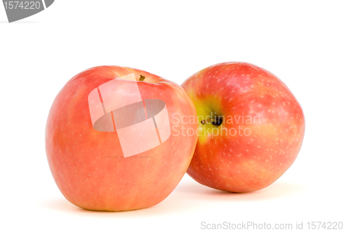 Image of Two apples Pink Lady