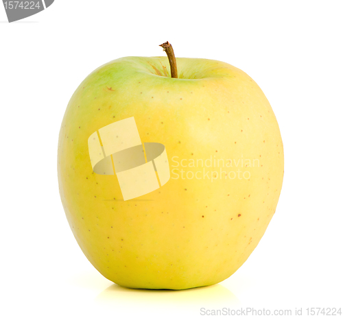 Image of Lonely apple
