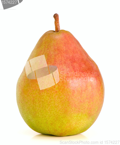 Image of lonely Belgian pear