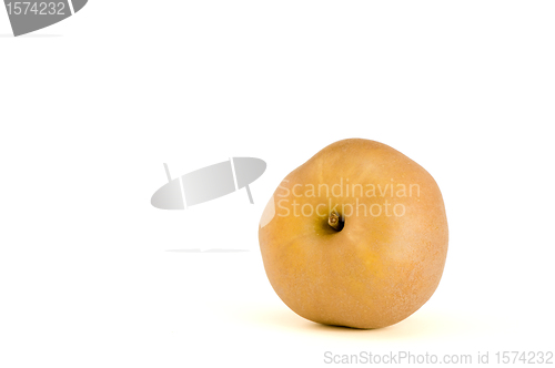 Image of One canadian apple