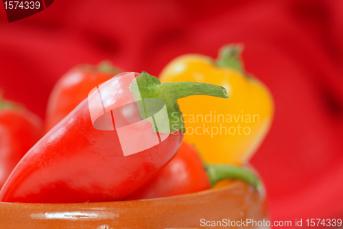 Image of Variety of chili peppers