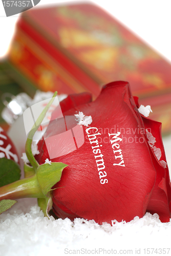 Image of Red Rose that says Merry Christmas on it