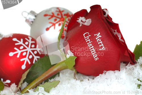 Image of Red Rose that says Merry Christmas on it