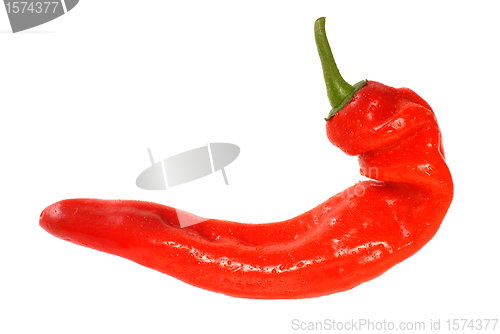 Image of Red chili pepper