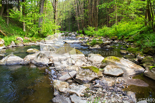 Image of small wild river in Bohemian forest 