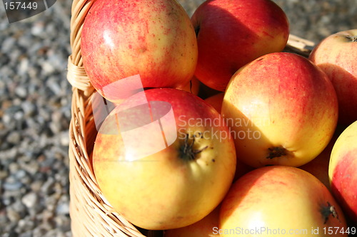 Image of Apples in basket