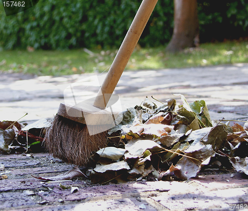 Image of Sweeping the Leaves