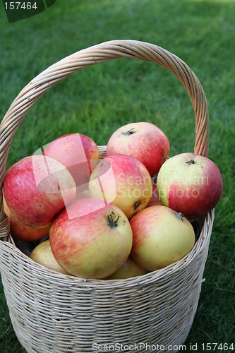 Image of Basket with apples on grass