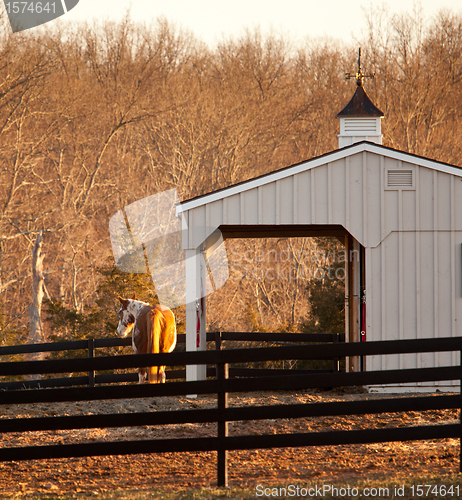 Image of Horse in paddock by stable at sunset