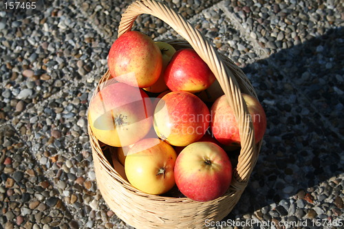 Image of James Grieves apples