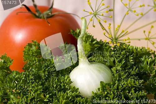 Image of Fresh vegetables IX