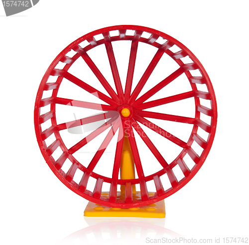 Image of Wheel for rodents