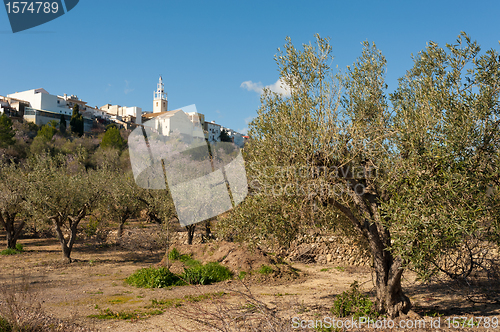 Image of Mediterranean village