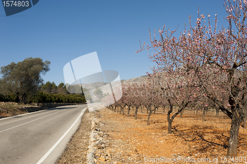 Image of Costa Blanca scenics