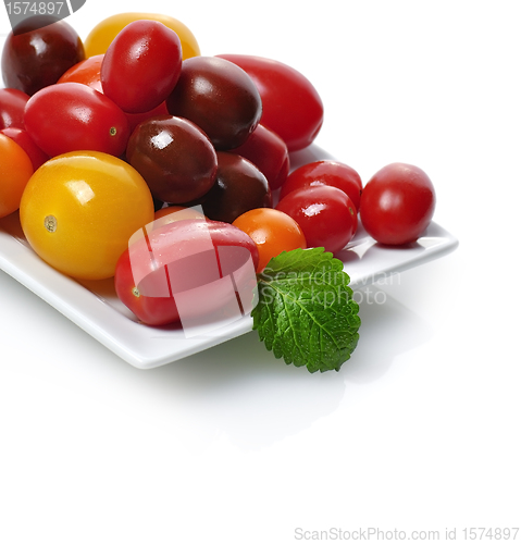 Image of Fresh Tomatoes Assortment