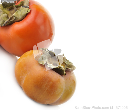 Image of Persimmon Fruits