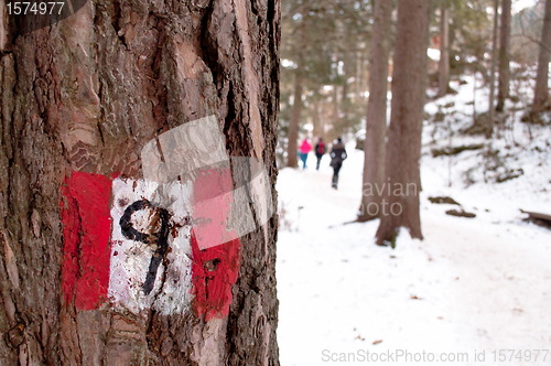 Image of Hiking trail sign post on a tree