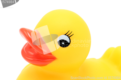 Image of portrait of rubber ducky